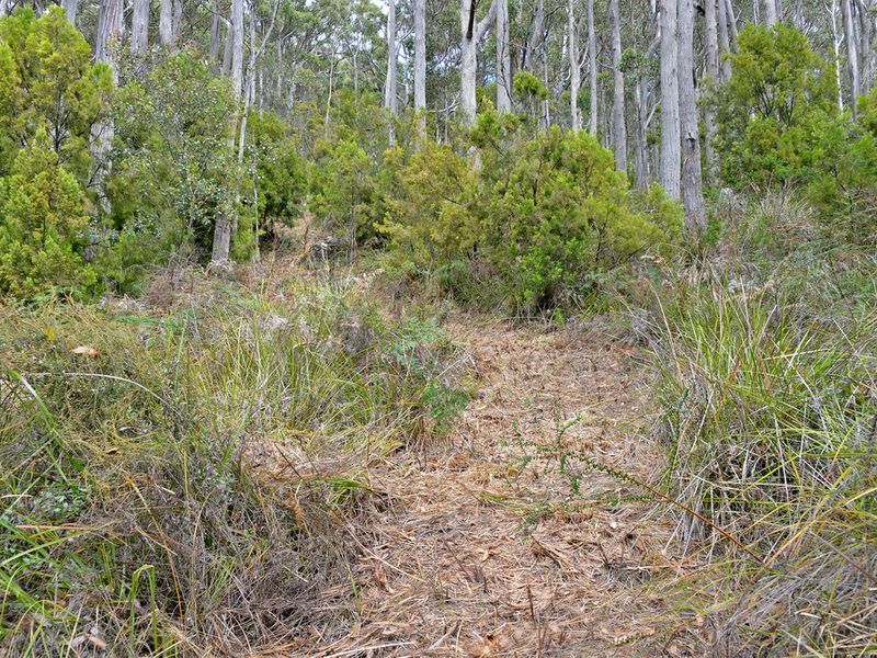 82A Blowhole Road, EAGLEHAWK NECK, TAS, 7179