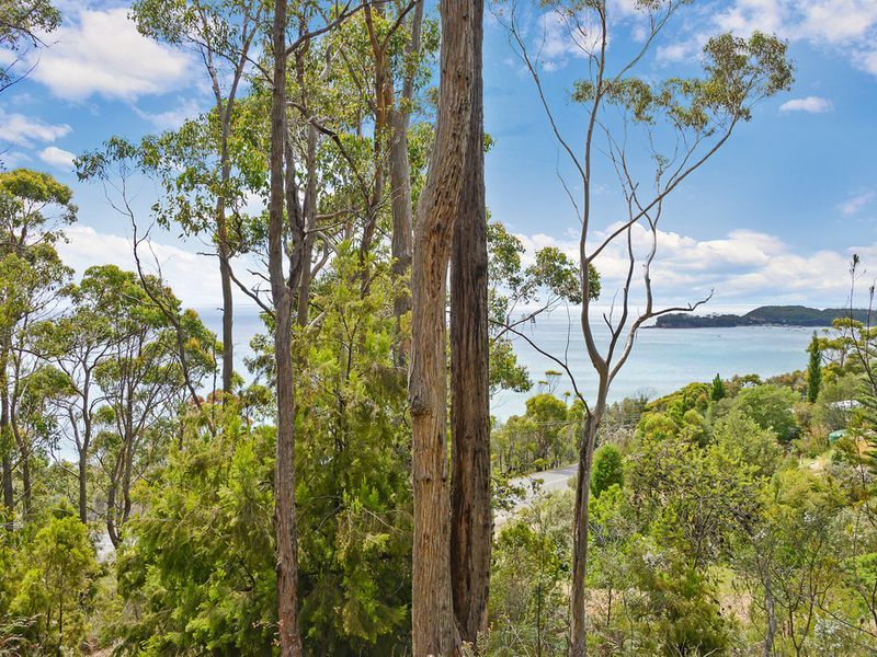 82A Blowhole Road, EAGLEHAWK NECK, TAS, 7179