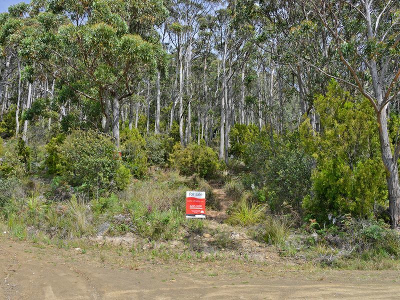 82A Blowhole Road, EAGLEHAWK NECK, TAS, 7179