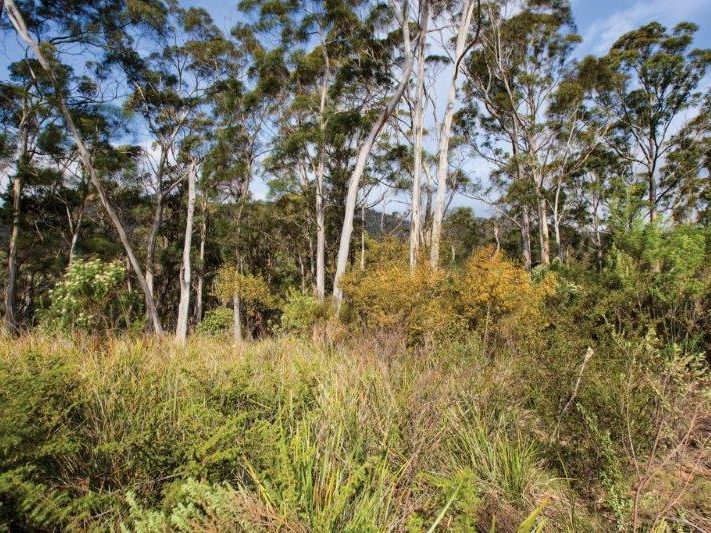 49 Smith Street, NUBEENA, TAS, 7184