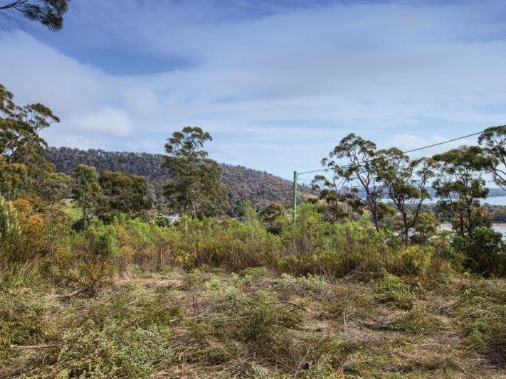 49 Smith Street, NUBEENA, TAS, 7184