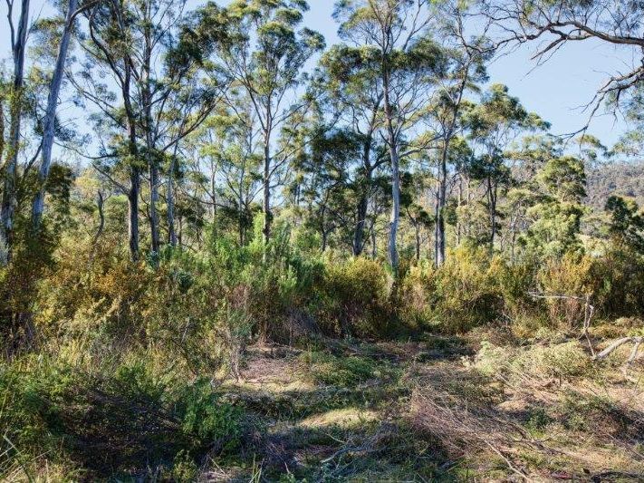 49 Smith Street, NUBEENA, TAS, 7184