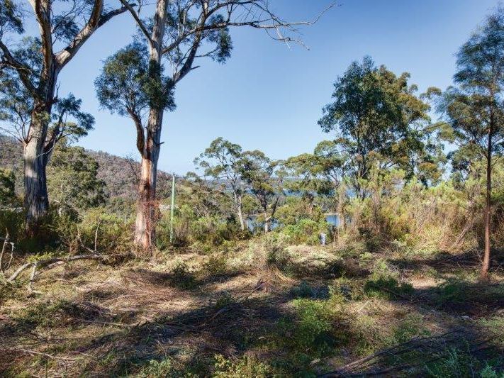 49 Smith Street, NUBEENA, TAS, 7184