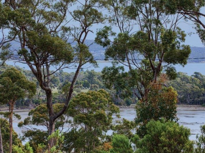 49 Smith Street, NUBEENA, TAS, 7184