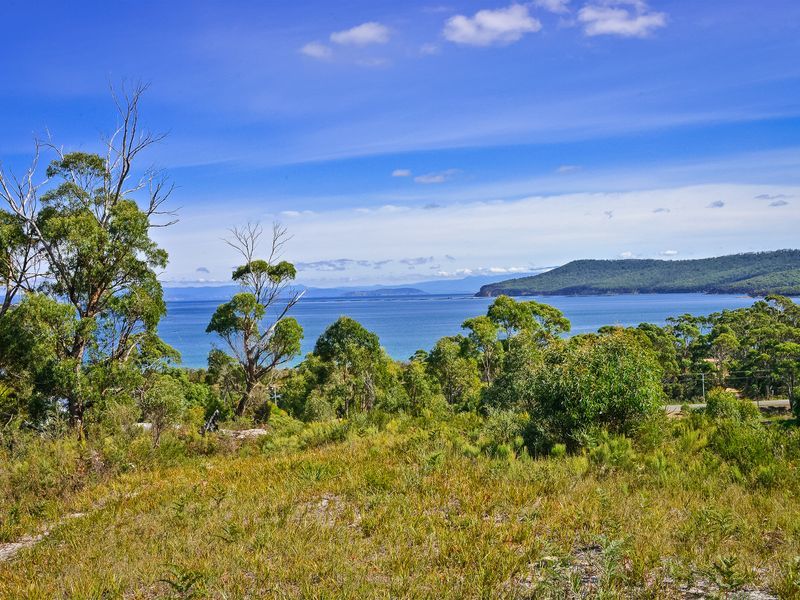 L1/225 White Beach Road, WHITE BEACH, TAS, 7184