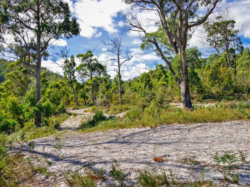 L1/225 White Beach Road, WHITE BEACH, TAS, 7184