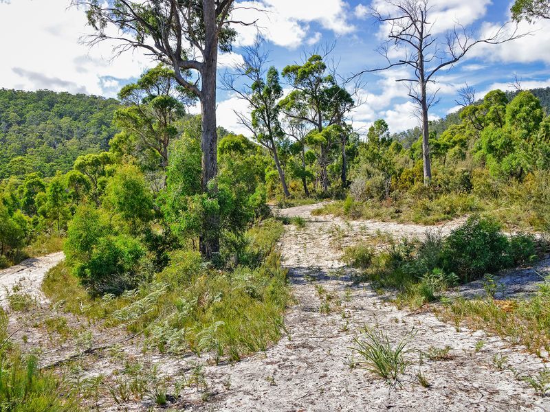 L1/225 White Beach Road, WHITE BEACH, TAS, 7184