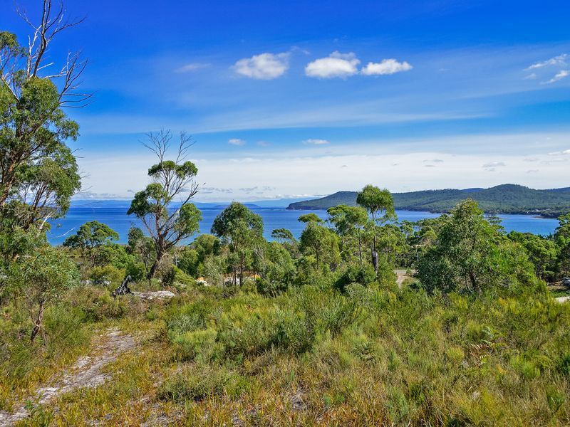 L1/225 White Beach Road, WHITE BEACH, TAS, 7184