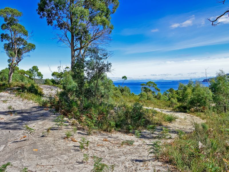 L1/225 White Beach Road, WHITE BEACH, TAS, 7184