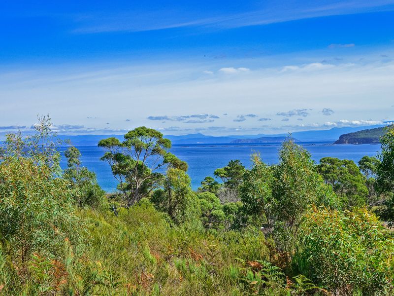 L1/225 White Beach Road, WHITE BEACH, TAS, 7184