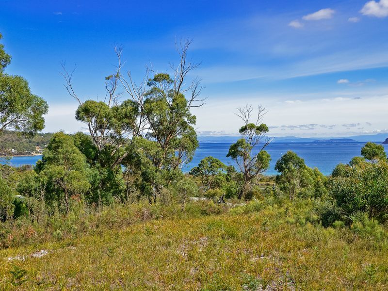 L1/225 White Beach Road, WHITE BEACH, TAS, 7184