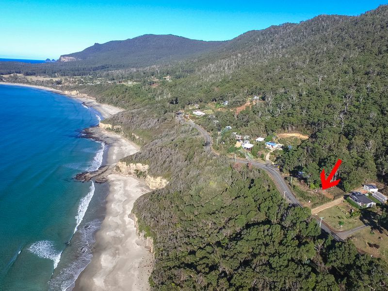 74 Blowhole Road, EAGLEHAWK NECK, TAS, 7179