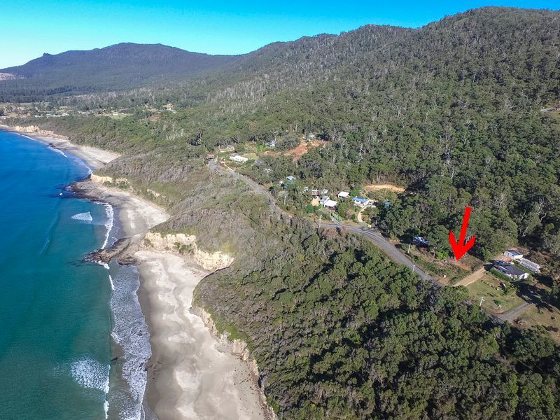 74 Blowhole Road, EAGLEHAWK NECK, TAS, 7179