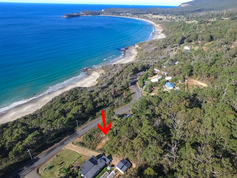74 Blowhole Road, EAGLEHAWK NECK, TAS, 7179