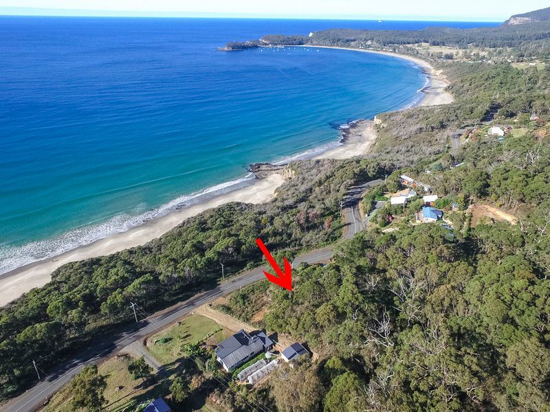 74 Blowhole Road, EAGLEHAWK NECK, TAS, 7179