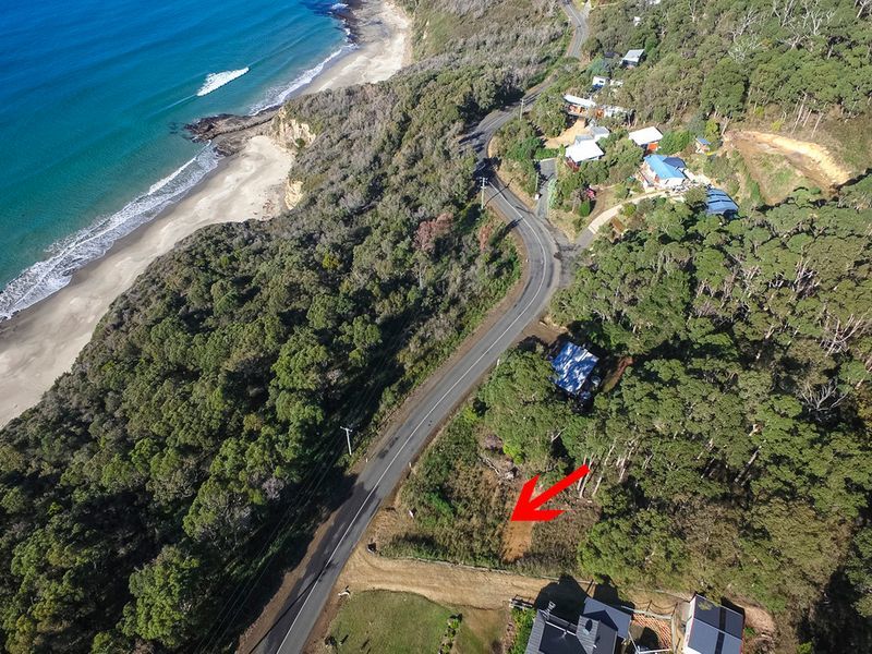 74 Blowhole Road, EAGLEHAWK NECK, TAS, 7179