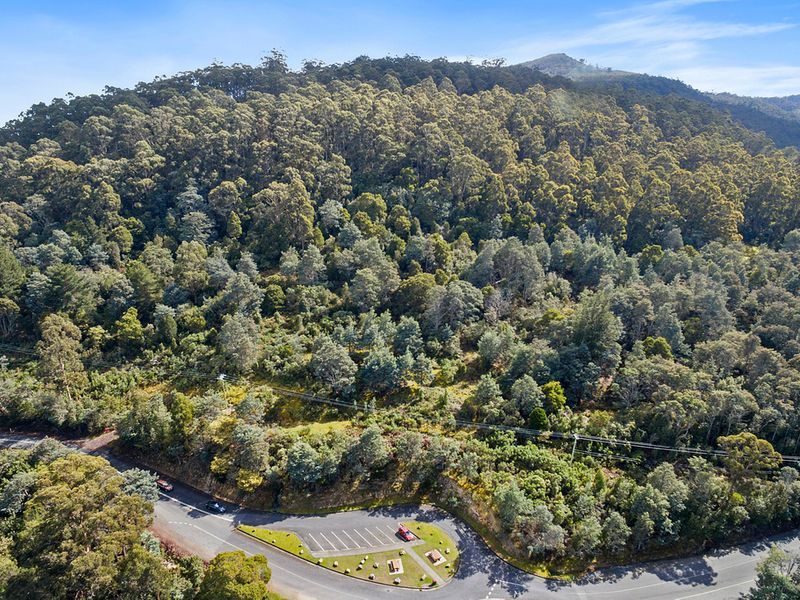 Lot 1 Pirates Bay Drive, EAGLEHAWK NECK, TAS, 7179