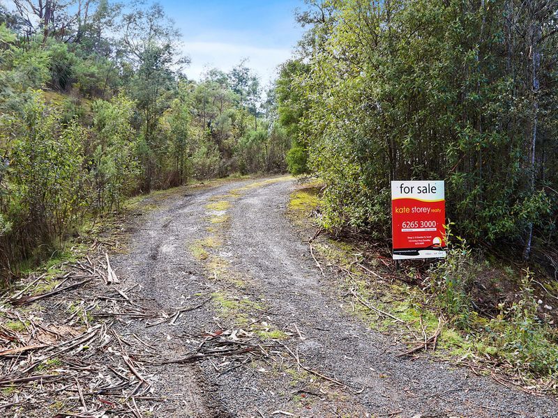 Lot 1 Pirates Bay Drive, EAGLEHAWK NECK, TAS, 7179