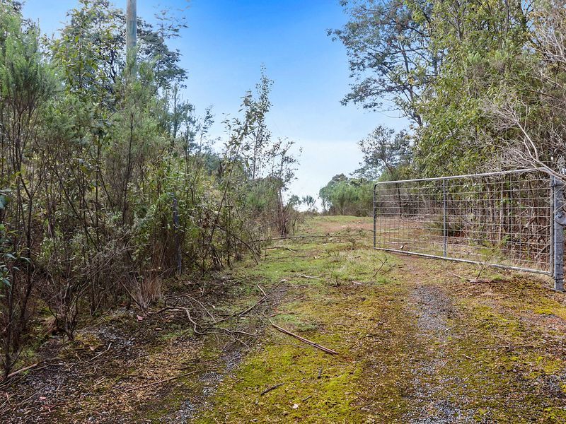 Lot 1 Pirates Bay Drive, EAGLEHAWK NECK, TAS, 7179