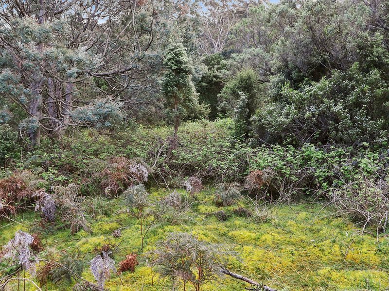 Lot 1 Pirates Bay Drive, EAGLEHAWK NECK, TAS, 7179