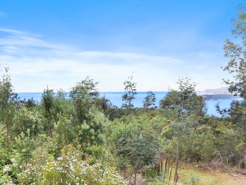 Lot 1 Pirates Bay Drive, EAGLEHAWK NECK, TAS, 7179