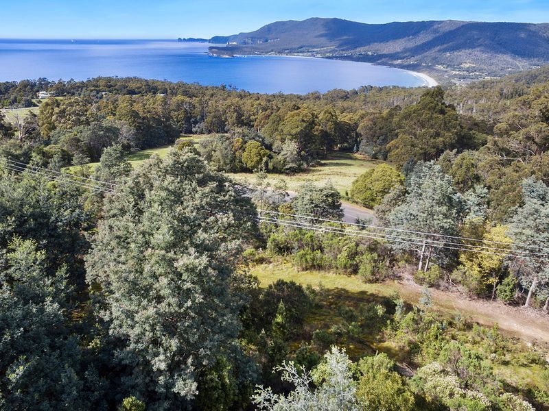 Lot 1 Pirates Bay Drive, EAGLEHAWK NECK, TAS, 7179