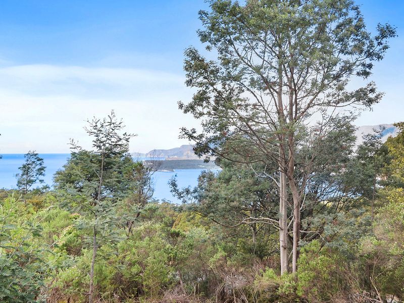 Lot 1 Pirates Bay Drive, EAGLEHAWK NECK, TAS, 7179