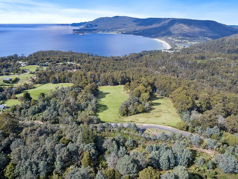 Lot 1 Pirates Bay Drive, EAGLEHAWK NECK, TAS, 7179