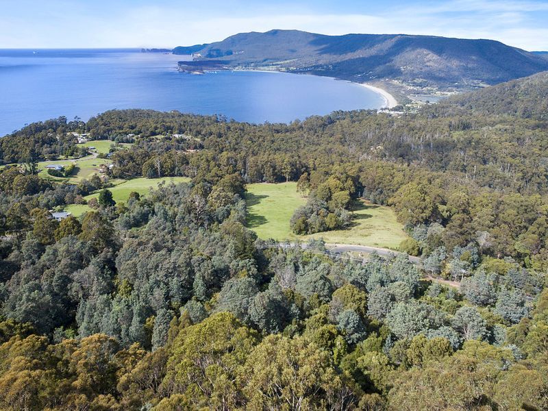 Lot 1 Pirates Bay Drive, EAGLEHAWK NECK, TAS, 7179