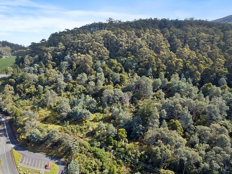 Lot 1 Pirates Bay Drive, EAGLEHAWK NECK, TAS, 7179