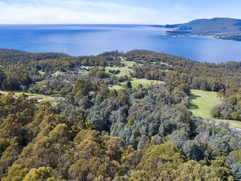 Lot 1 Pirates Bay Drive, EAGLEHAWK NECK, TAS, 7179
