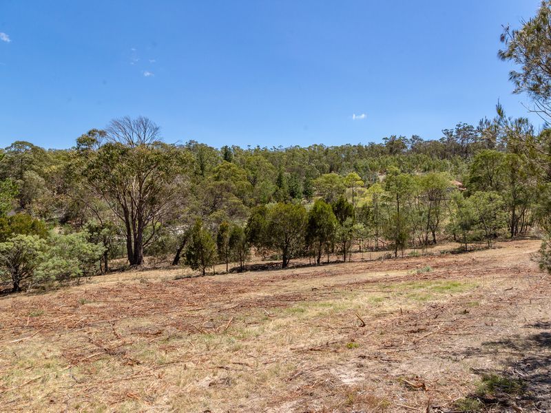 4 Grierson Drive, FORCETT, TAS, 7173