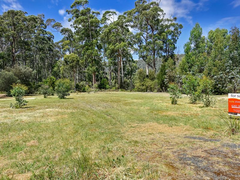 199 White Beach Road, WHITE BEACH, TAS, 7184