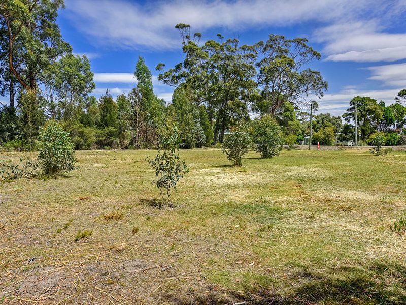 199 White Beach Road, WHITE BEACH, TAS, 7184