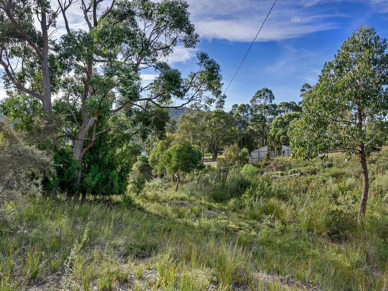 46 Ferntree Road, EAGLEHAWK NECK, TAS, 7179