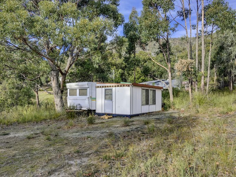 46 Ferntree Road, EAGLEHAWK NECK, TAS, 7179