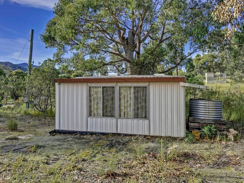 46 Ferntree Road, EAGLEHAWK NECK, TAS, 7179