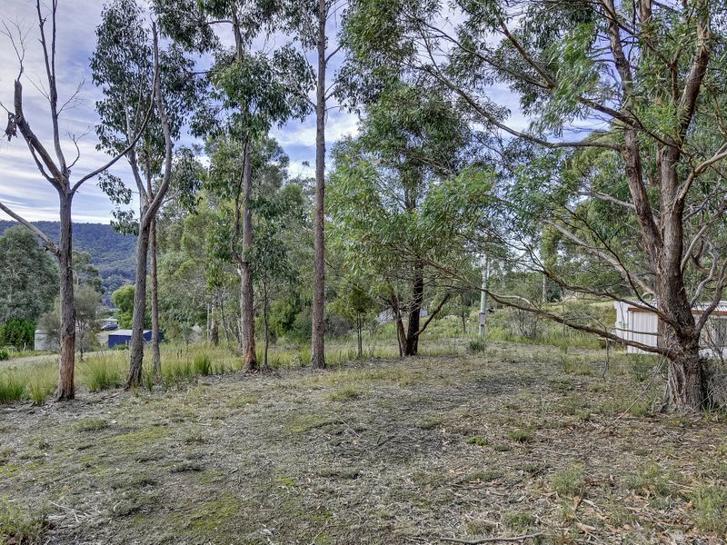 46 Ferntree Road, EAGLEHAWK NECK, TAS, 7179
