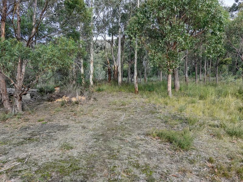 46 Ferntree Road, EAGLEHAWK NECK, TAS, 7179