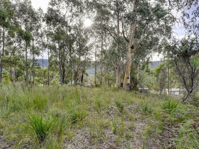 46 Ferntree Road, EAGLEHAWK NECK, TAS, 7179