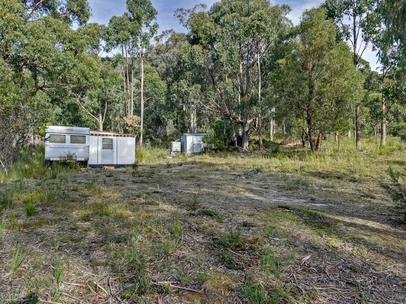 46 Ferntree Road, EAGLEHAWK NECK, TAS, 7179