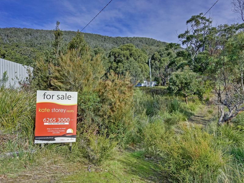 46 Ferntree Road, EAGLEHAWK NECK, TAS, 7179