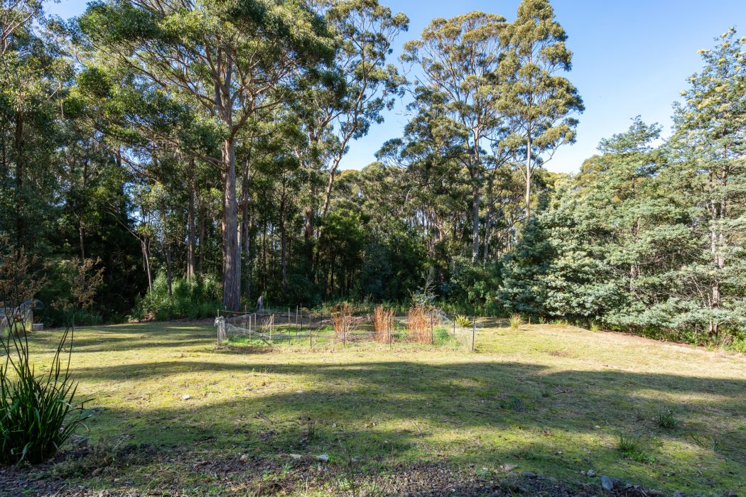 6 Lyndal Drive, Eaglehawk Neck, TAS, 7179
