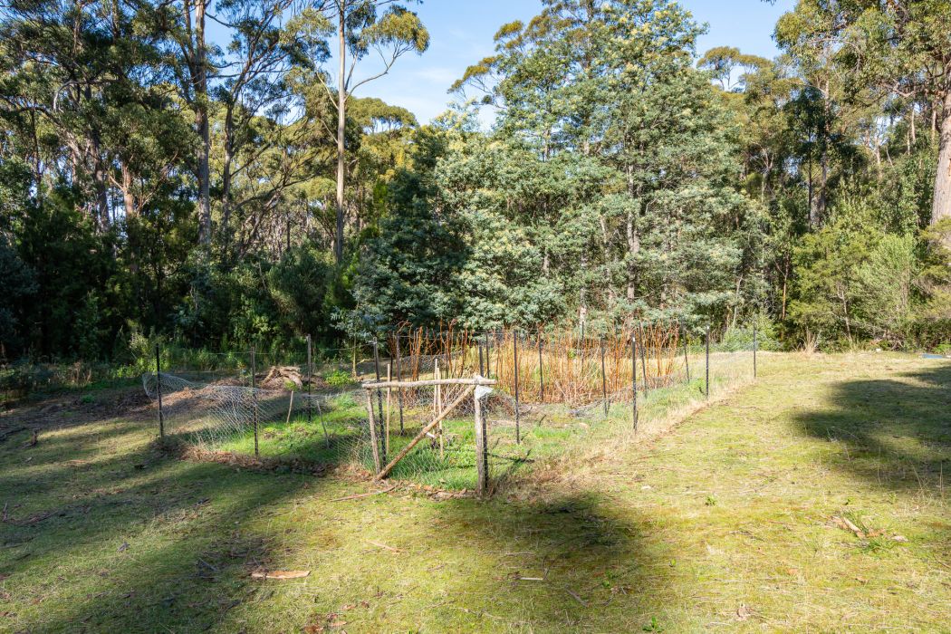 6 Lyndal Drive, Eaglehawk Neck, TAS, 7179