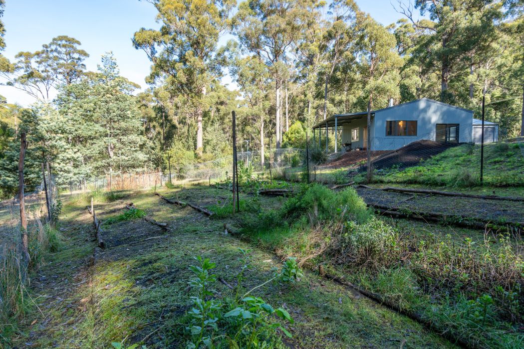 6 Lyndal Drive, Eaglehawk Neck, TAS, 7179