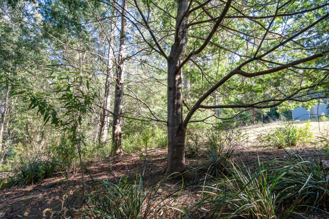 6 Lyndal Drive, Eaglehawk Neck, TAS, 7179