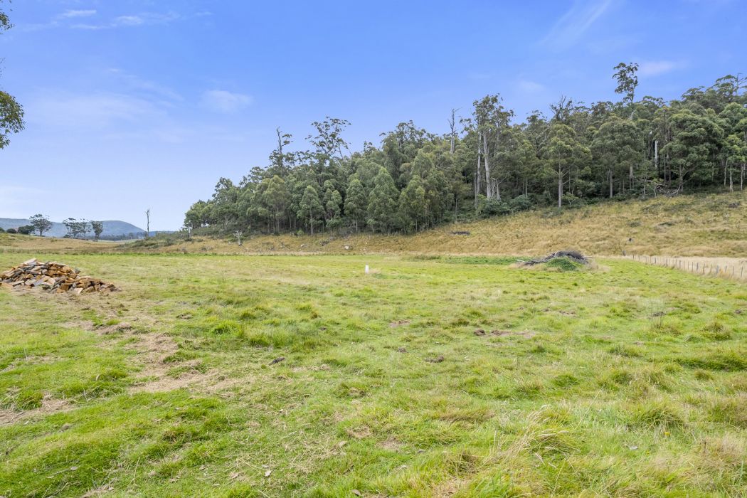 1894 Buckland Road, Woodsdale, TAS, 7120