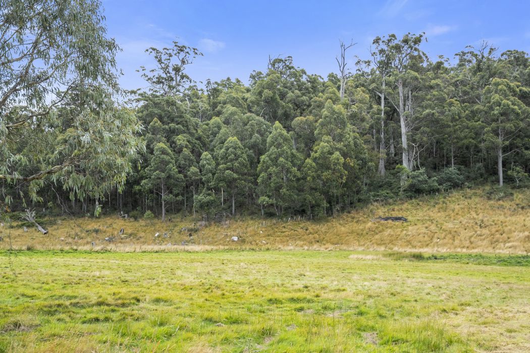 1894 Buckland Road, Woodsdale, TAS, 7120