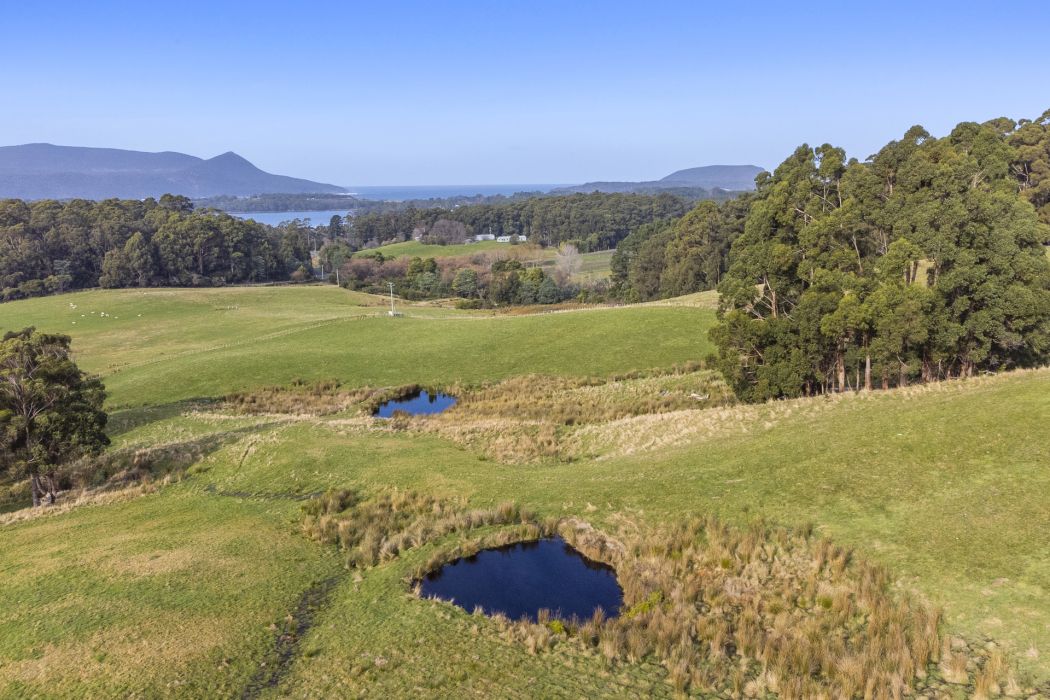 10 Tramway Street, Port Arthur, TAS, 7182