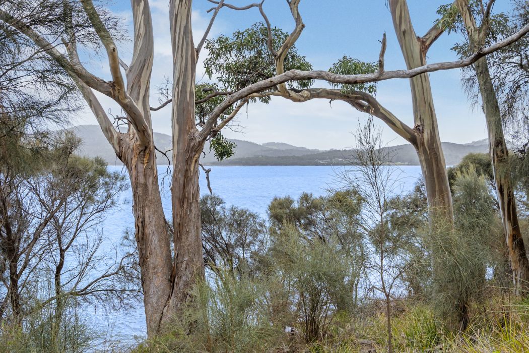 518 White Beach Road, White Beach, TAS, 7184